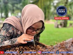 Sensasi “Nyedot” Madu Klenceng di Baru Raharja