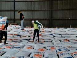 Kondisi Pangan Nasional Aman, Cadangan Beras Bulog Tembus 5,3 Juta Ton 