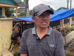 Pastikan Penuhi Standar ASUH, Disbunak Lampura Periksa Hewan Kurban di Lapak dan Kandang