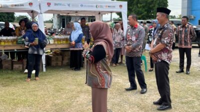 Jelang Idul Adha, Pemprov Lampung dan Pemkab Mesuji Gelar Pasar Murah di Simpang Pematang