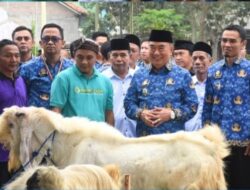Jelang Idul Adha 1447 H, Bupati Tanggamus Buka Bazar Hewan Qurban 2026
