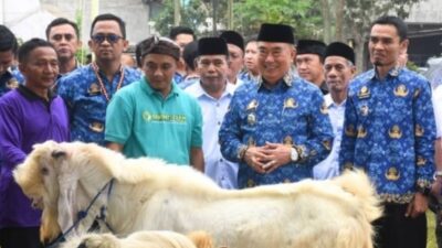 Jelang Idul Adha 1447 H, Bupati Tanggamus Buka Bazar Hewan Qurban 2026