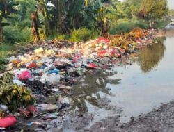 Bau Busuk Menjadi “Santapan” Harian Warga Melintasi Jalan Abrati Kotabumi Ilir
