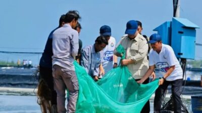 Prabowo Panen Raya di Kebumen. Indonesia Berpeluang Jadi Produsen Udang Nomor Satu Dunia