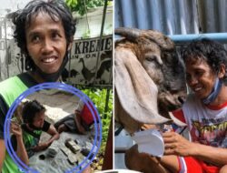 Ketulusan di Balik Recehan Kardus Bekas, Kisah Mas Arif Menyentil Hati