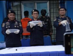 KKP Gagalkan Penyelundupan 31 Ribu Benih Lobster Senilai Rp4,6 Miliar di Lampung