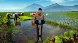 Menatap Lampung sebagai Jangkar Swasembada Pangan Nasional