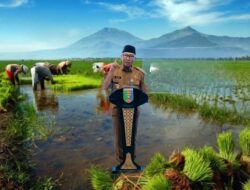 Menatap Lampung sebagai Jangkar Swasembada Pangan Nasional