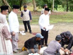 Tubaba Berkurban Sukses di Gelar, Kumpulkan 430 Ekor Kambing dan 6 Ekor Sapi di Sembelih