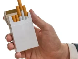 RPMK Kesehatan, Rokok Berkemasan Polos (Plain Packaging)  