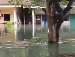 Tanggul PLTU di Katibung Jebol, Puluhan Rumah Warga Terendam Banjir Setinggi Dada