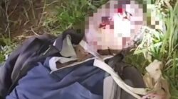 Pamit Memikat Ayam Hutan, Toni Ditemukan Meninggal Dunia