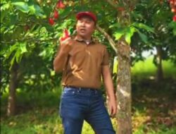 Panen Buah dan Udara Segar, Bupati Parosil Mabsus Ajak Wisatawan “Healing” Edukatif di Kebun Raya Liwa