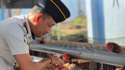 Satu Hari 90 Butir, Intip Keberhasilan Program Kemandirian Pangan di Lapas Way Kanan