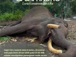 Indro Mati Diusia 45 Tahun, Ini penyebabnya