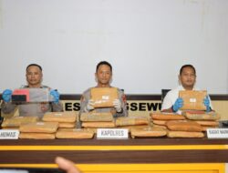 Penyelundupan 24 Kg Ganja Lintas Sumatra Digagalkan Di Pringsewu
