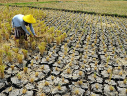 Pemerintah Antisipasi Dampak El Nino Menjaga Ketahanan Air Nasional dan Menekan Karhutla