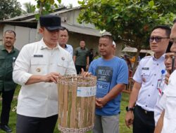 Bupati Lamsel Tinjau Pelaksanaan Program HELAU