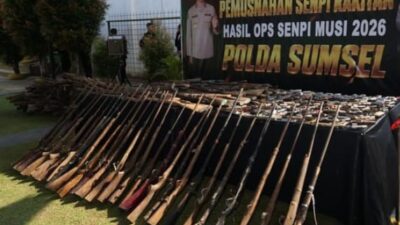 Operasi Senpi Musi 2026, Polda Sumsel Musnahkan 397 Senjata Rakitan, 31 Tersangka Diringkus