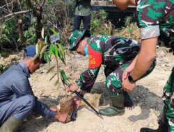 Hijaukan Desa, TNI dan Forkopimda Lampung Utara Tanam Puluhan Pohon Produktif di TMMD ke-129