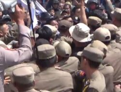 Aksi Dorong Dengan Aparat Pengamanan, Ratusan Petani Sawit Geruduk DPRD Dan Pemkab Pesisir Barat