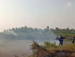 Damkarmat Lampung Selatan Jinakkan Kebakaran di Dua Titik Berbeda