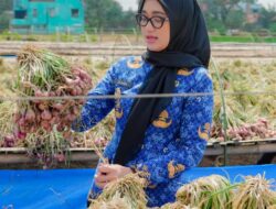 Penguatan Hilirisasi Bawang Merah Oleh Pemprov Lampung Di Pringsewu
