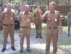 Pesisir Barat Dorong Kepatuhan Pajak Hotel-Restoran Demi Pembangunan Daerah