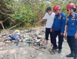Kerangka Manusia Ditemukan Terkubur Pasir di  Pantai Pesisir Legundi Lampung Selatan