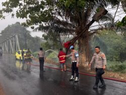 Polres Dan Damkar Berjibaku Padamkan Kobaran Api Di Pohon Sawit Sindangsari Kotabumi