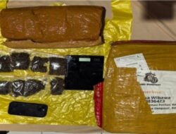 Polda Lampung Gagalkan Penyelundupan 6 Kg Ganja Jaringan Medan–Bali, Dua Tersangka Ditangkap
