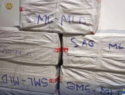 Operasi Senyap di Terminal Tipo, Bea Cukai Pantoloan Gagalkan Peredaran 224 Ribu Batang Rokok Ilegal