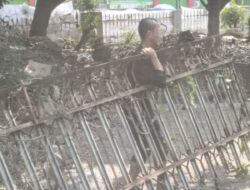 Ada-ada Saja Ulah Pencuri, ‘ Tak Ada Perhiasan Pagar pun Jadilah ‘