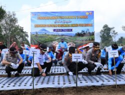 Wujudkan Swasembada Pangan, Lampung Barat Siap Jadi Lumbung Bawang Putih Nasional