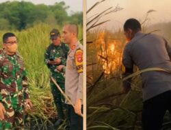 Kawasan TNBK Terbakar, Tim Gabungan Dipimpin Polres Lampung Timur Lakukan Pemadaman Darurat