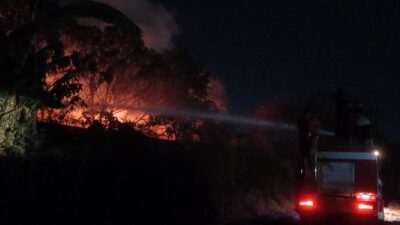 Petugas dan Tiga Armada Pemadam Jinakkan Amukan Api 