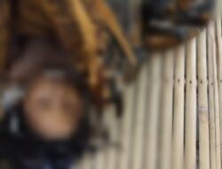 TRAGIS!Bocah 10 Tahun Tewas Bersimbah Darah di Tangan Ibu Kandungnya Sendiri
