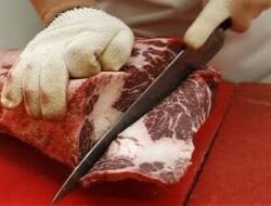 Balai Karantina Musnahkan 3 Ton Daging Celeng Ilegal