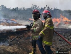 Damkarmat Lampura Tangani Puluhan Kasus Kebakaran dan Ratusan Aksi Penyelamatan Sepanjang Januari–Agustus 2026