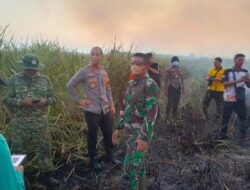 Penanganan Karhutla Way Kambas Selesai, Ratusan Personel Gabungan Tetap Disiagakan di Lokasi