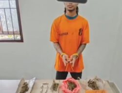 Digerebek Tengah Malam, Polres Karo Temukan Ganja Hampir 108 Gram di Rumah Buruh Bangunan