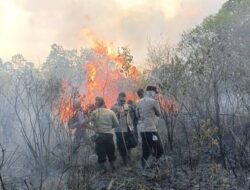 Bara Belum Padam, Way Kambas Kembali Memerah, Titik Api Baru Muncul di Rantau Jaya