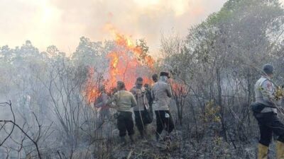 Bara Belum Padam, Way Kambas Kembali Memerah, Titik Api Baru Muncul di Rantau Jaya