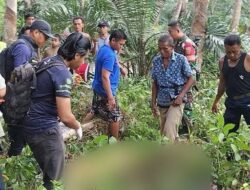 Perkara Sawit Nyawa Melayang,  Seorang Pemuda Tewas Bersimbah Darah dengan Leher Nyaris Putus