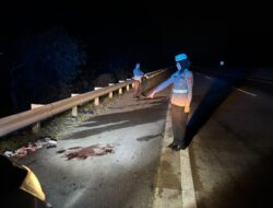 Tabrakan Minibus vs Truk di Tol Bakter KM 105 Pesawaran, Enam Orang Luka-Luka