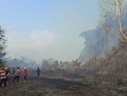 Dua Kebakaran Lahan Kosong Satuan Gabungan Karhutla Bandar Lampung Berhasil Lakukan Lokalisasi Api