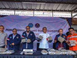 Selundupkan 14,6 Kilogram Ganja dari Thailand, WNA China Dicokok BNN di Bandara Soetta