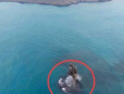 Fenomena Vulkanik di Selat Sunda, Daratan Seluas 30,3 Hektare Muncul di Sekitar Gunung Anak Krakatau