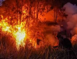 19 Korporasi Jadi Dalang Karhutla di Sumatra-Kalimantan, 11 Ribu Hektare Hangus, Kasus ISPA Tembus 50 Ribu Jiwa