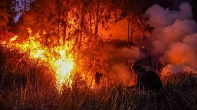 19 Korporasi Jadi Dalang Karhutla di Sumatra-Kalimantan, 11 Ribu Hektare Hangus, Kasus ISPA Tembus 50 Ribu Jiwa